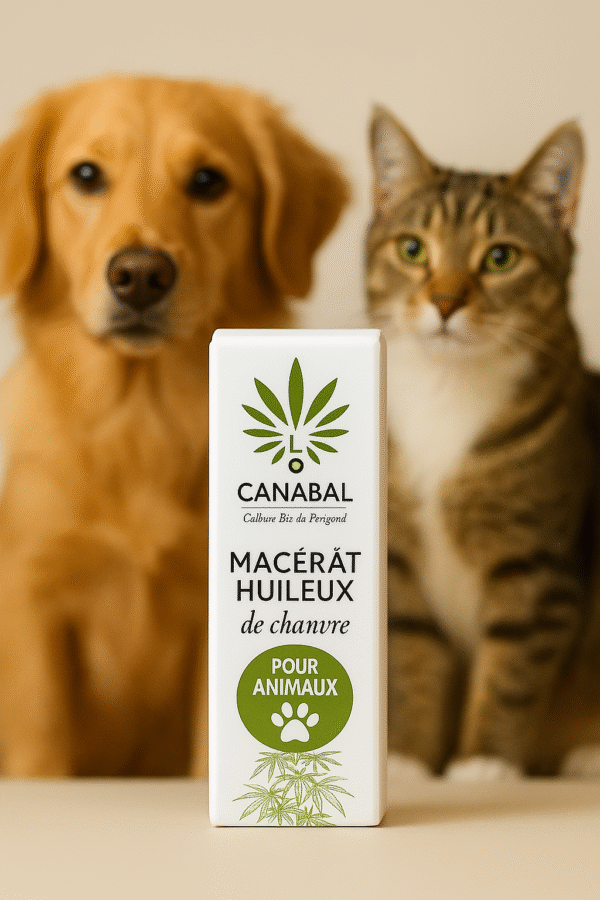 Macérât Huileux pour Animaux CBD
