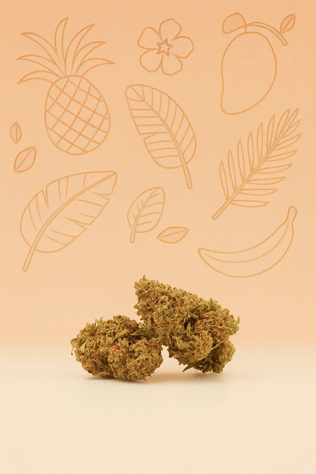 Tropicale